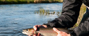 Panguitch Lake