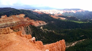 Dixie National Forest