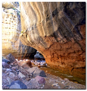 Ashdown Gorge Wilderness Area