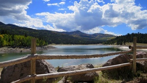 Yankee Meadows