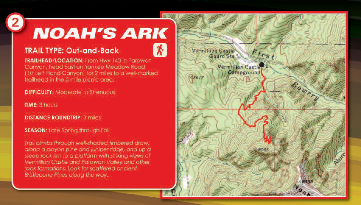 Noah's Ark