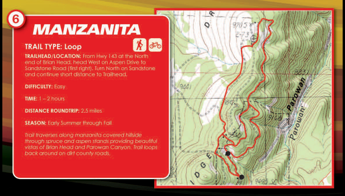 Manzanita