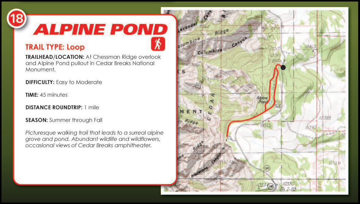 Alpine Pond