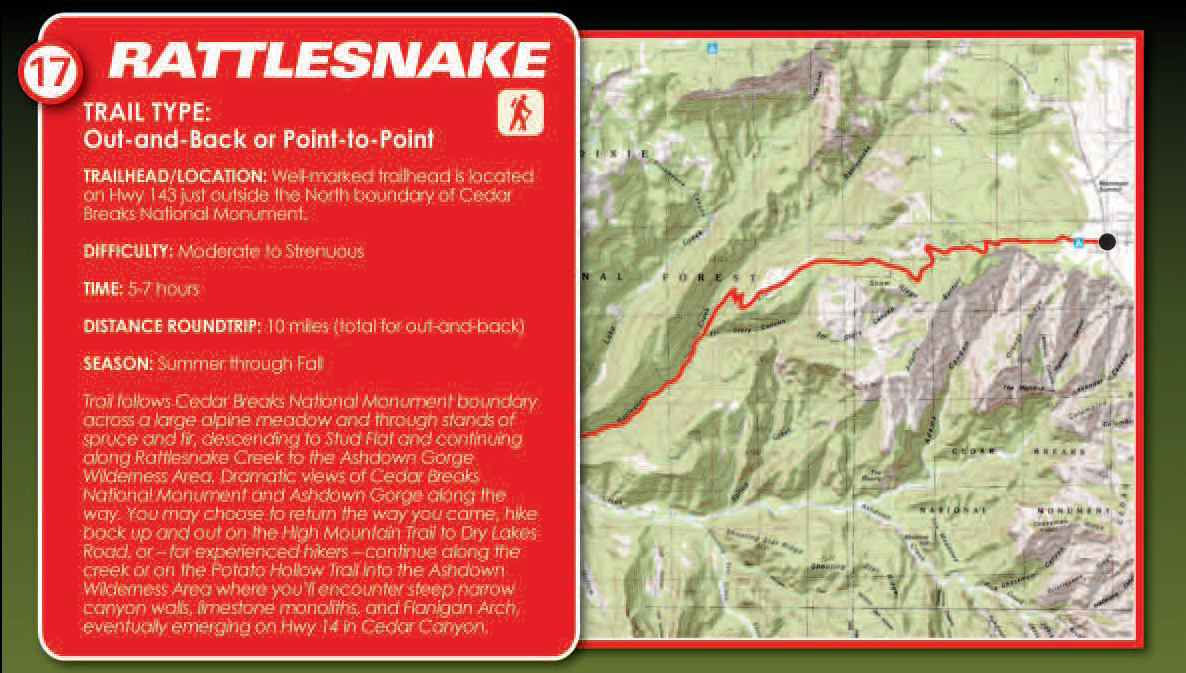 Rattlesnake