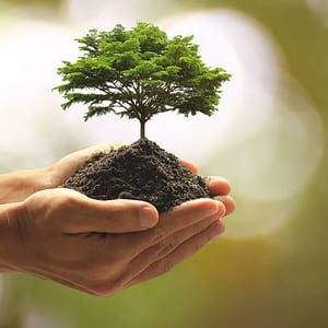 2026 Brian Head Arbor Day
