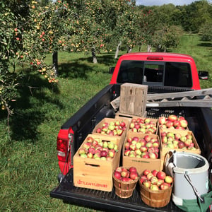 Little Apple Cidery