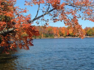 Kelly Lake