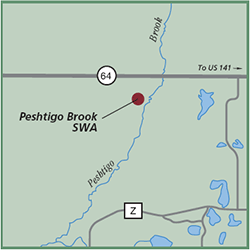 Peshtigo Brook State Wildlife Area