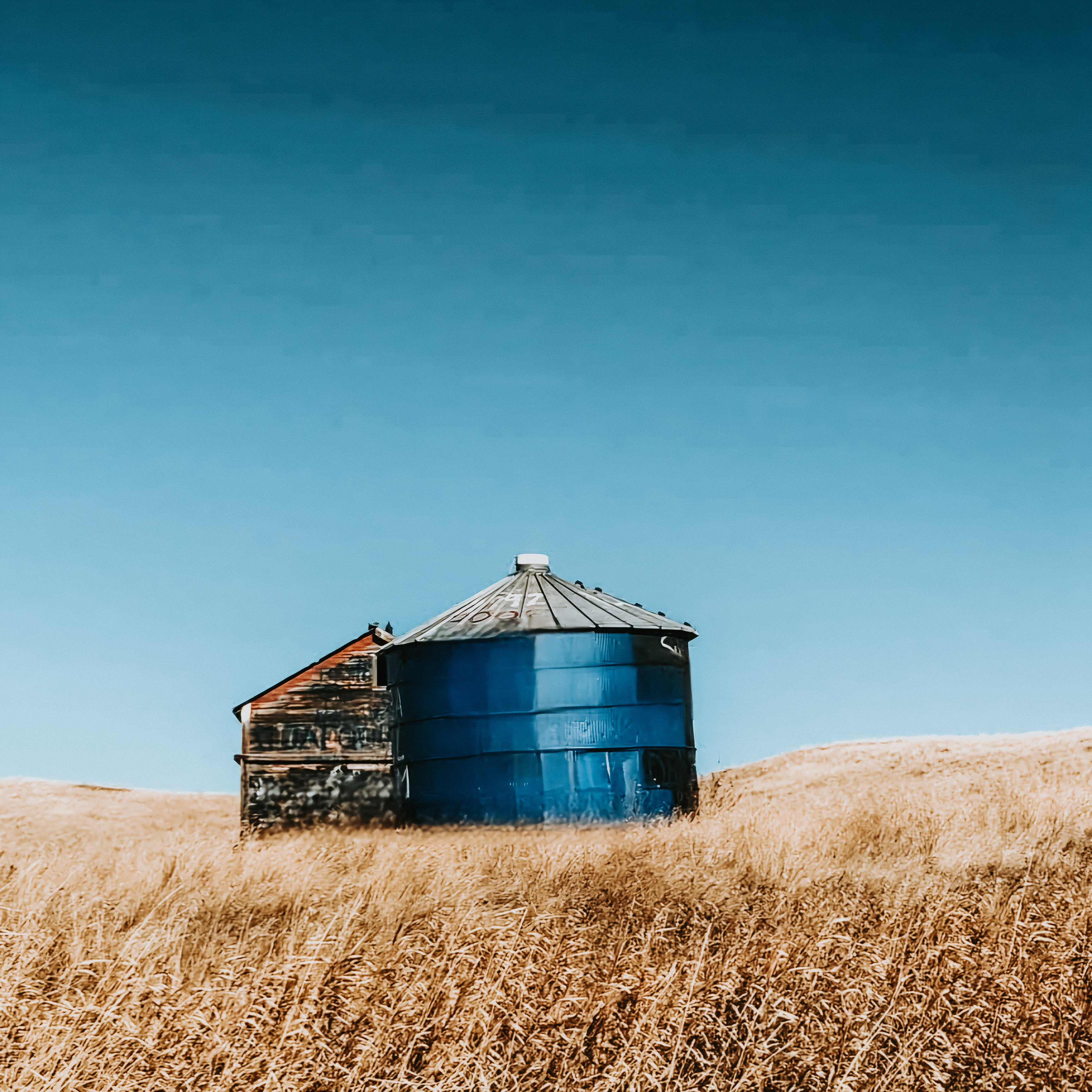 Blue cylindrical water storage tank with a corrugated top in a dry grass field under a clear blue sky.