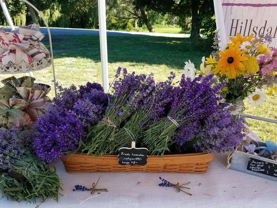 Vine Gate Lavender Floral Farm