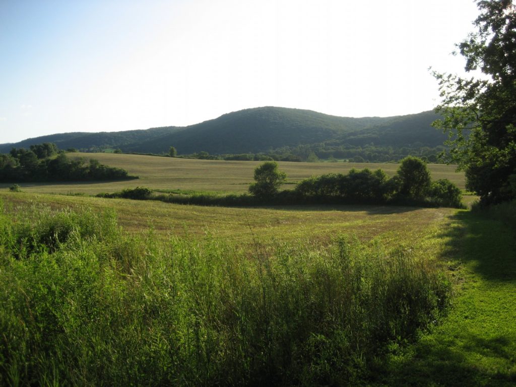 The Roeliff Jansen Park