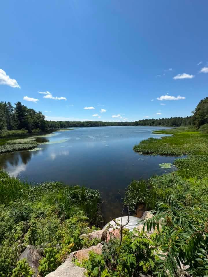 View at the lake