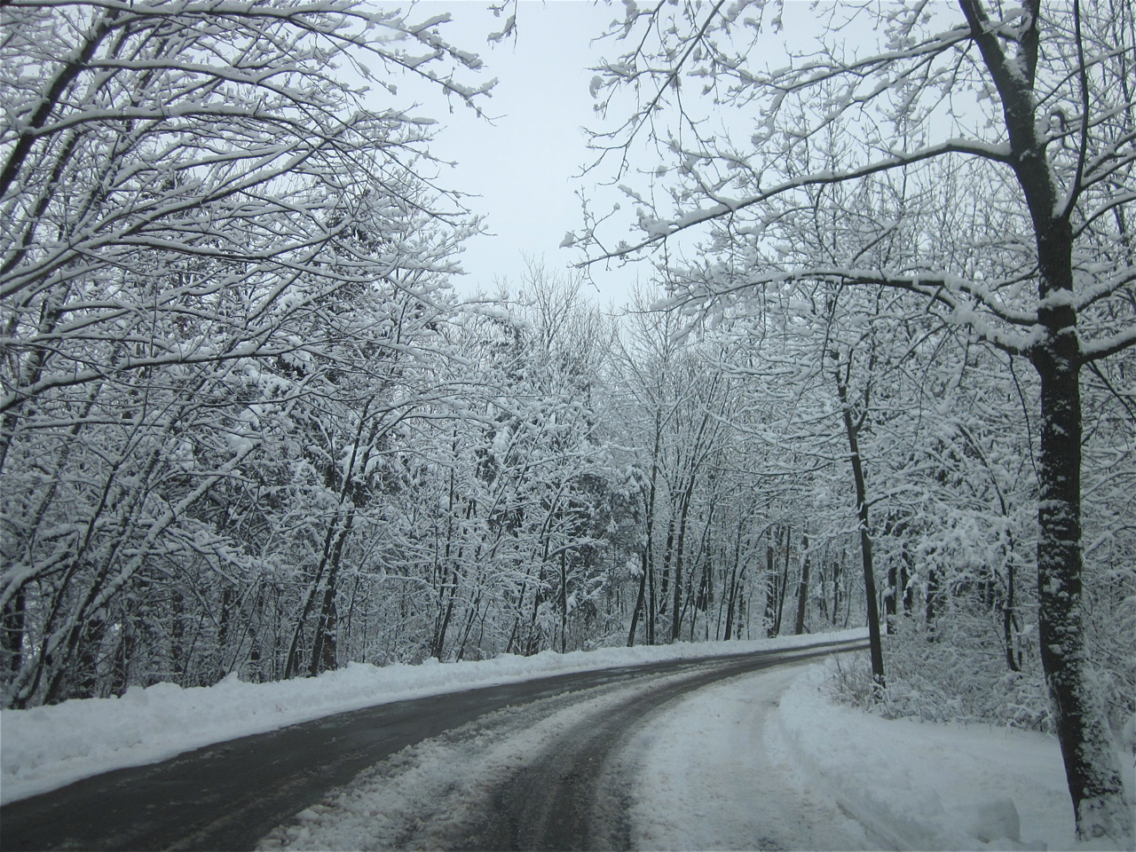 Winter at Pan Yack Park