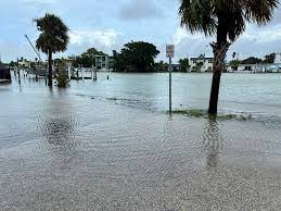 STORM DEBRIS REMOVAL GUIDELINES