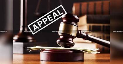 Redington Beach Appeal Options